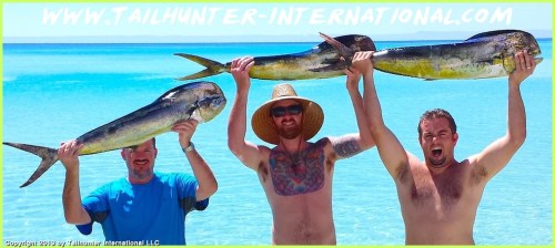 held high dorado tags small 10-13