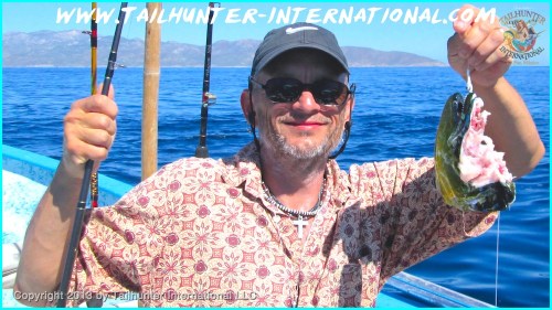 John McLucas sealion small tags 10-13-proc