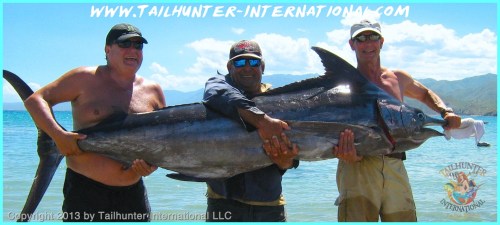 marlin hosmer small nagy tags 10-13-proc