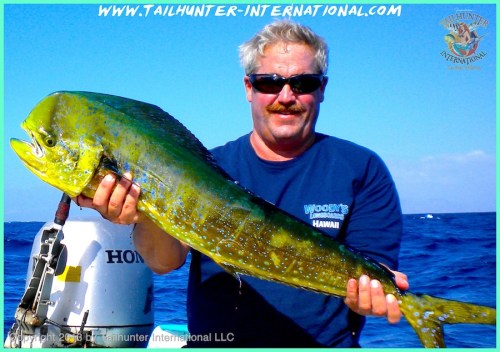 Mike Anderson dorado tags 10-13 small