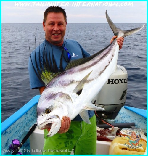 Rooster scott mckenzie tags small 10-13-proc