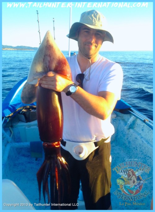 squid calamar Jeremy Frieze 10-13 tags