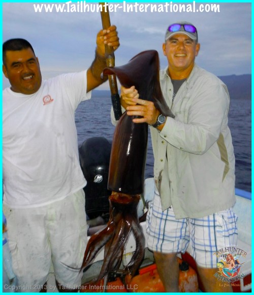 squid james edwards tags 10-13