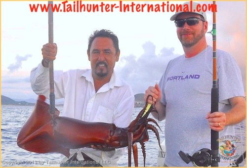 squid jeff brown tags 10-13