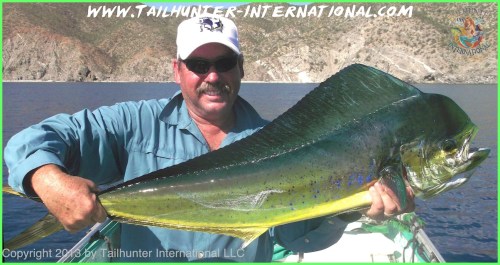 Virgin Redwine 10-13 dorado small flyrod tags