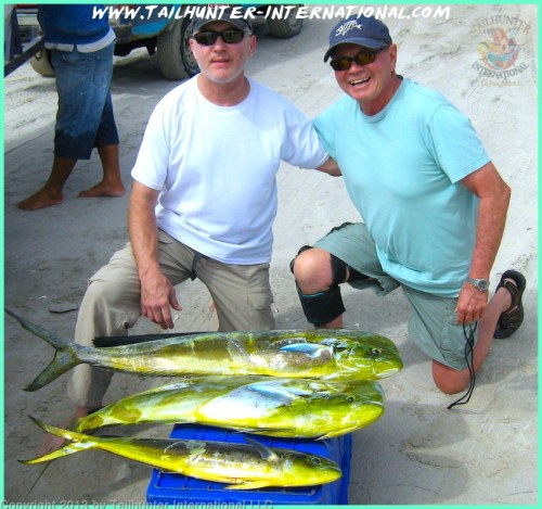 Aaron and Barney dorado tags 10-13 small