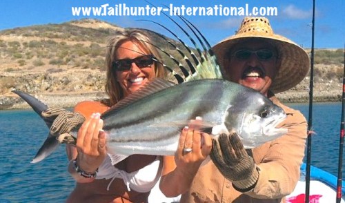 amy rooster tags 11-13