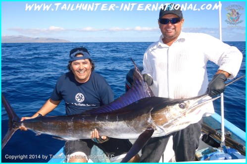 marlin benny tags small 11-13