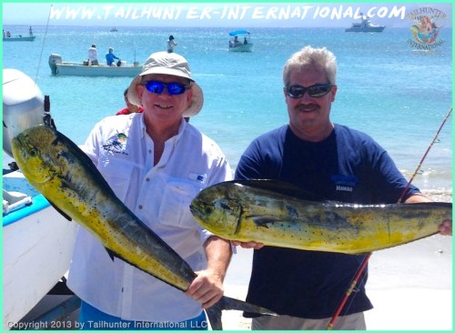 Mike and Bob dorado small tags 10-13