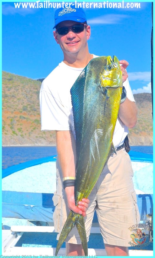 Miles dorado tags 10-13