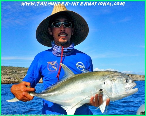 Pancho jack crevalle tags small 10-13