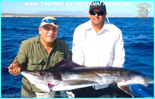 RAul marlin tags 11-13