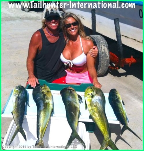 Rick Amy dorado tags 11-13