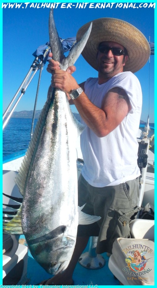 rooster hicks 10-13 small tags