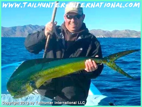 dorado jason mills 12-13 tags