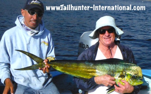 dorado llew tags 12-13