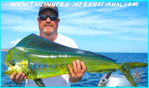 dorado medley tags 12-13