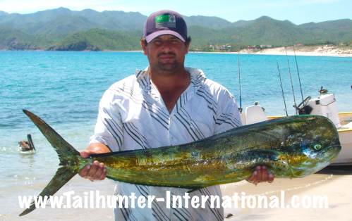 dorado tags armando 11-13