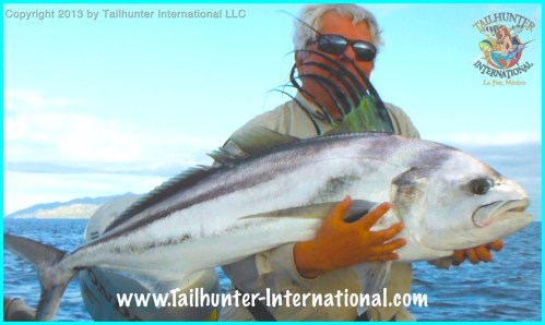 rooster mark marcus tags small 12-13