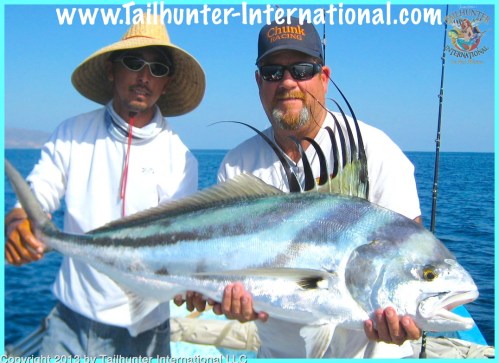 Rooster Steve Medley 12-13 tags