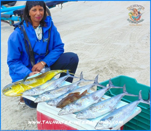 verda sierra tag small 12-13