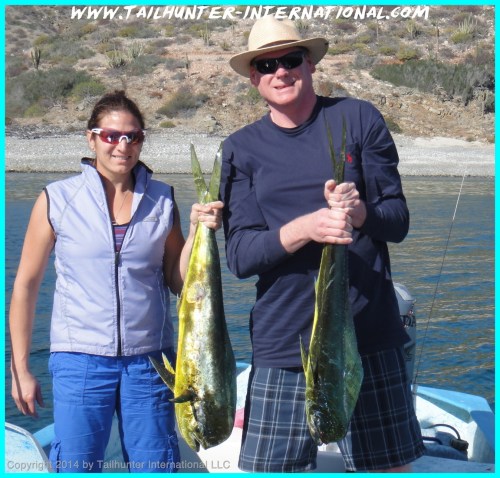 AnnikandJamesand2dorados tags