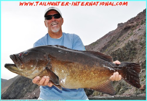 Cabrilla huge roger thompson tags 1-14-proc