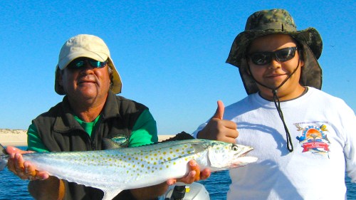 PEZ GALLO LAS ARENAS ESTEBAN ROOSTER 001