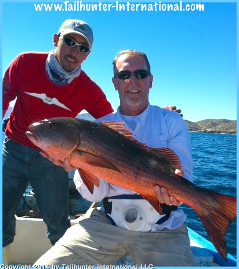 carl lang pargo 1-14 tags