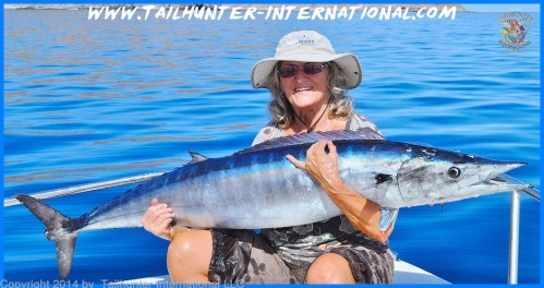 Donna tags wahoo 2-14