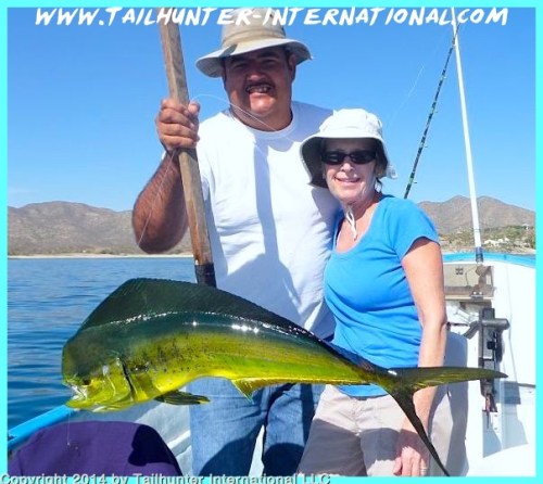 dorado carol darby tags 2-13