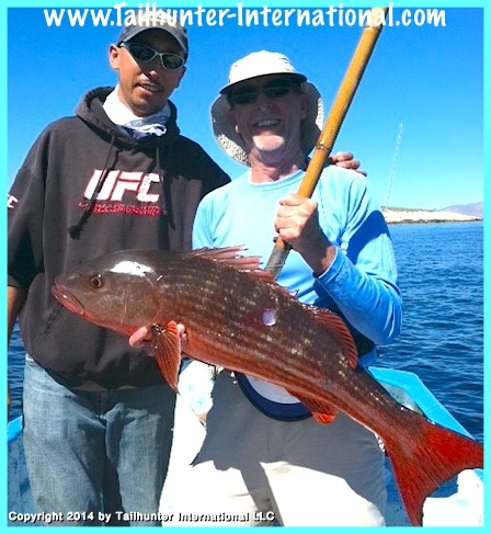 pargo carl lange tags 1-14