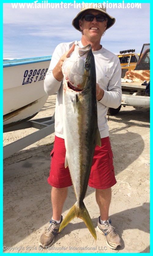 yellowtail seth caillat 2-14 tags