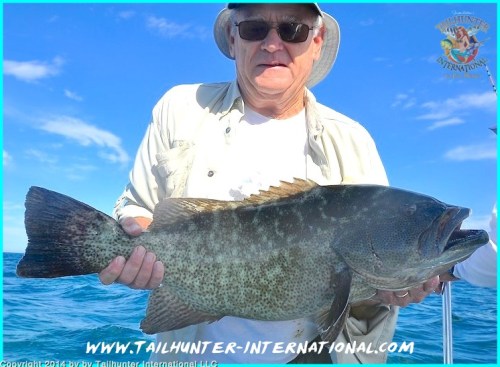 cabrilla jeff brown tags 3-14