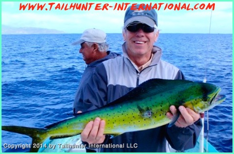 dorado Dennis McGuffee tags 3-14