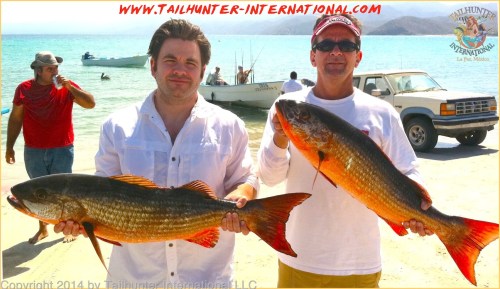 Ken and Steve pargo 2-14- tags small