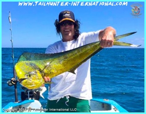 Larry Cornwall dorado tags 3-14