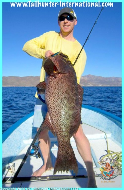 Leif Grouper 2 tags 2-14