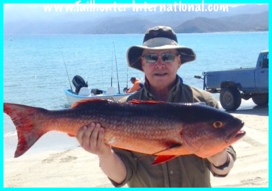 pargo daryl valdez 2-14 tags