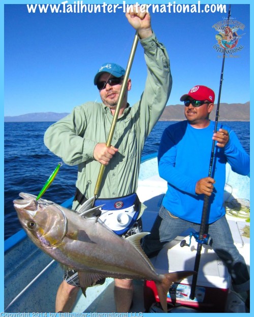 small  Brian amberjack tags 2-14