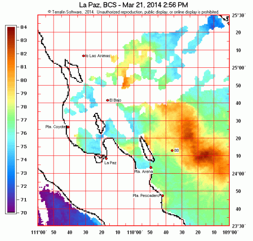 Here is why we're getting so many warm water fish...WARM WATER!  This is the latest ocean satellite reading from www.terrafin.com showing water temps.  The copper colors are in the 80's and the greens are the high 70's!