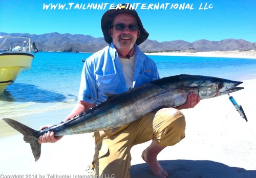 wahoo Don Asp 2-14 tags small