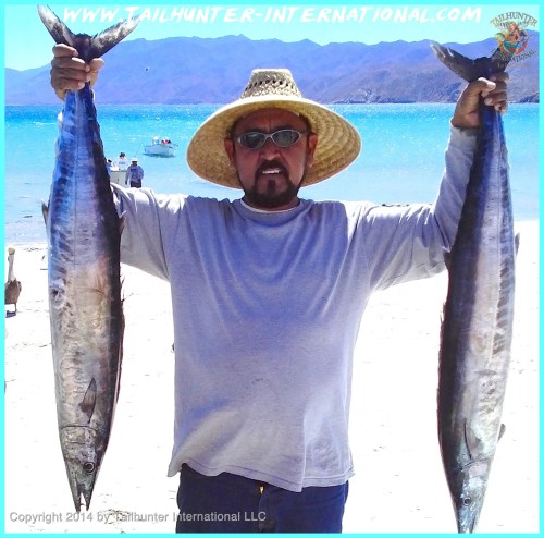 wahoo jorge tags 3-14