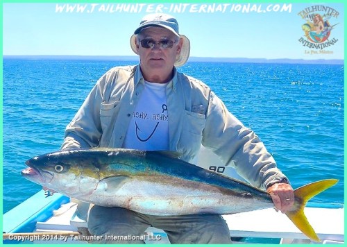 yellowtail jeff brown tags 3-14