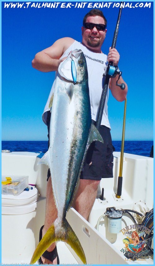 yellowtail joe arata tags small 2-14