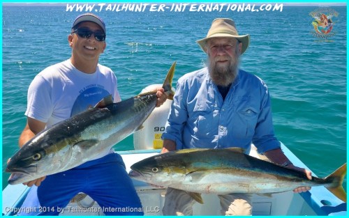 yellowtail rod brown tags 3-14