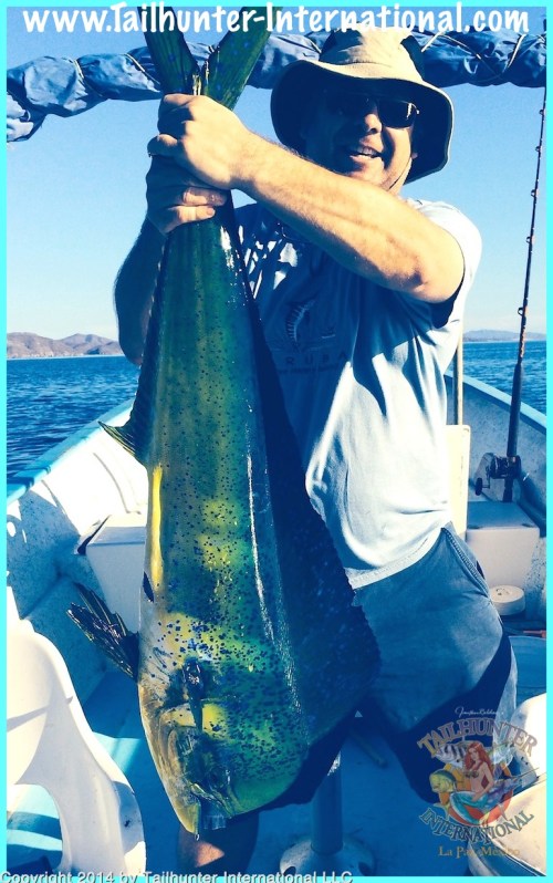 BILL AUSMAN 3-14 dorado small