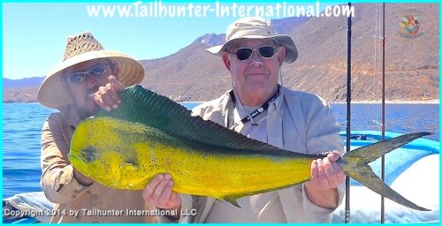 dorado miles brown tags 3-14