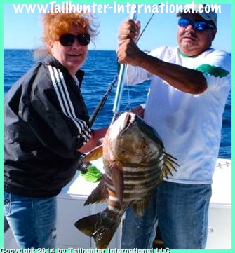 Mindy Pollock tags pargo 3-14