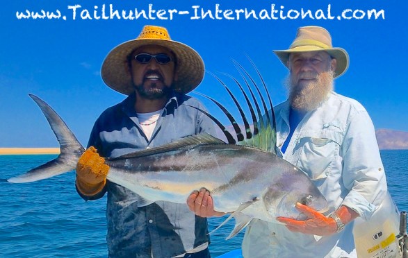 rooster rod brown tags 3-14